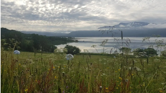 Miten kehotietoisuusohjaajakoulutus muutti suhdettani kehoon ja toi lempeyttä elämään - Vakaaputiikki